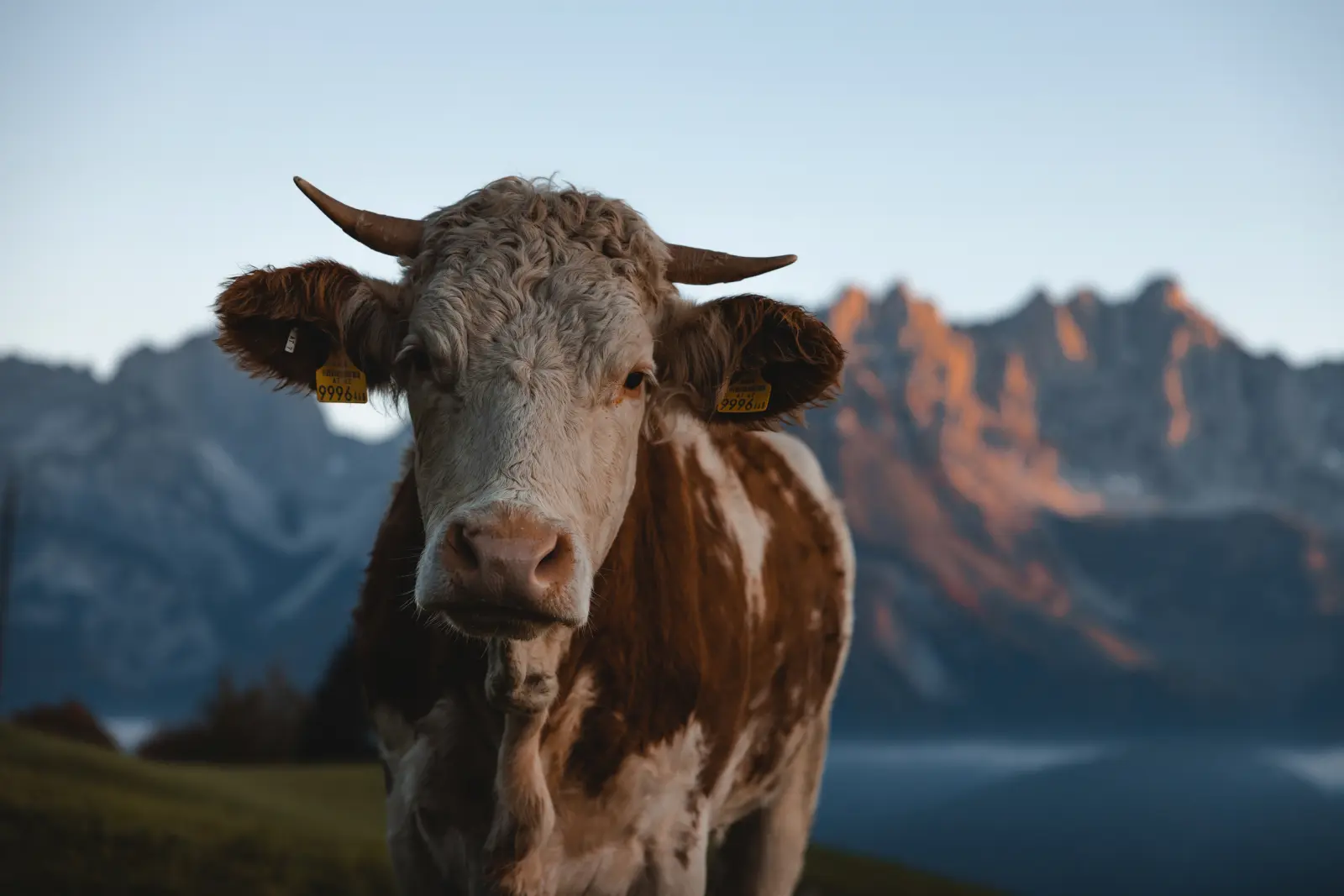WIlder Kaiser