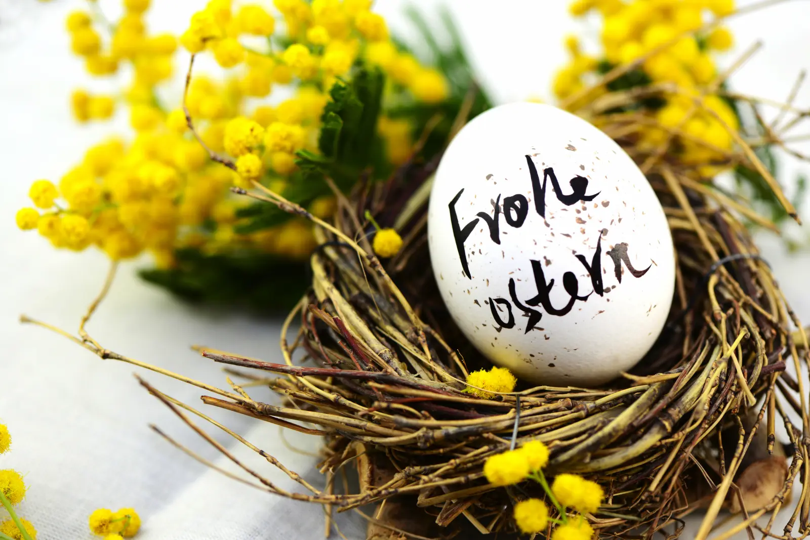 Pasqua