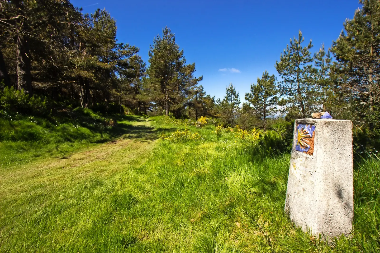 Camino de Santiago