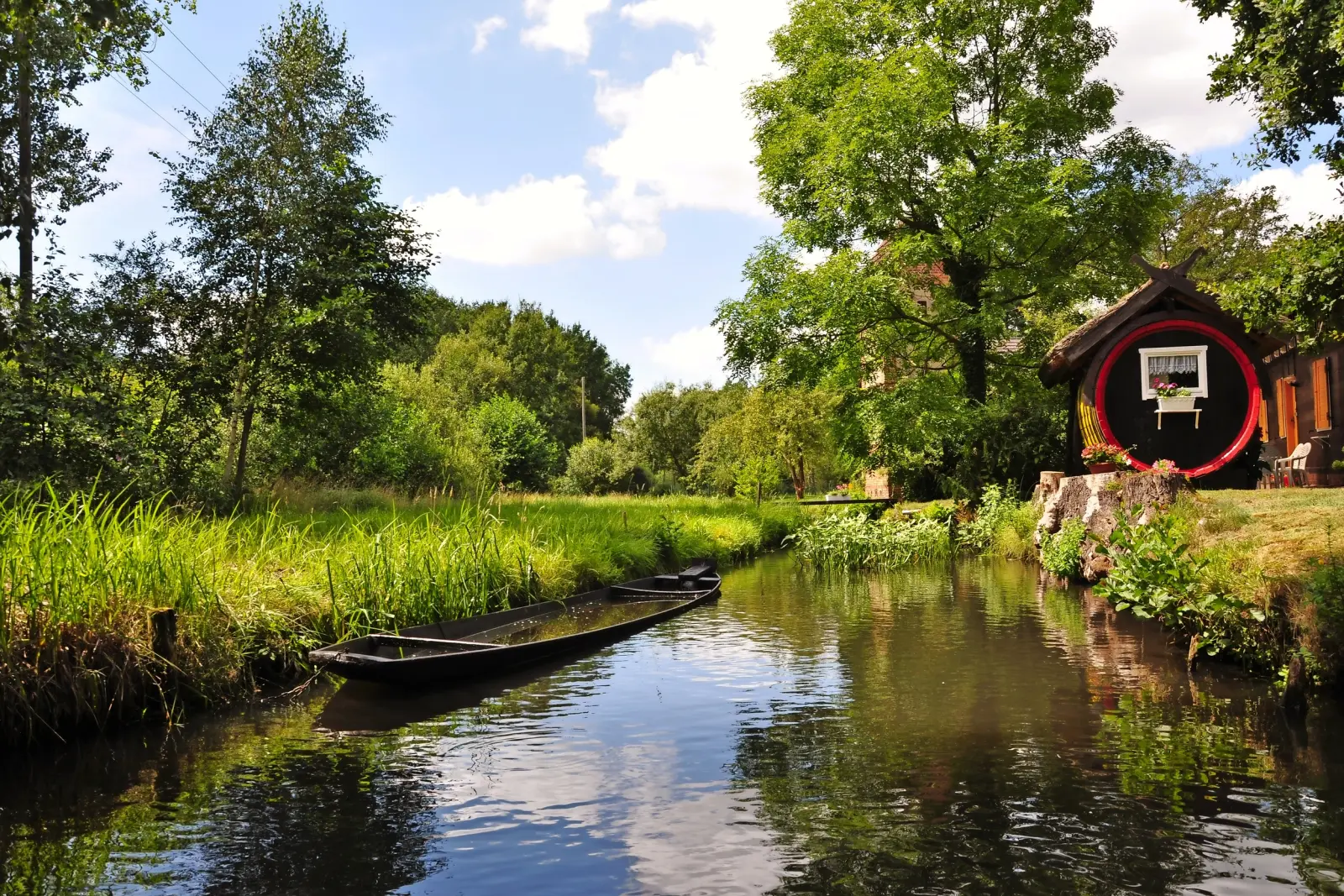 Paysage fluvial avec canoë et arbres verts sous un ciel bleu.