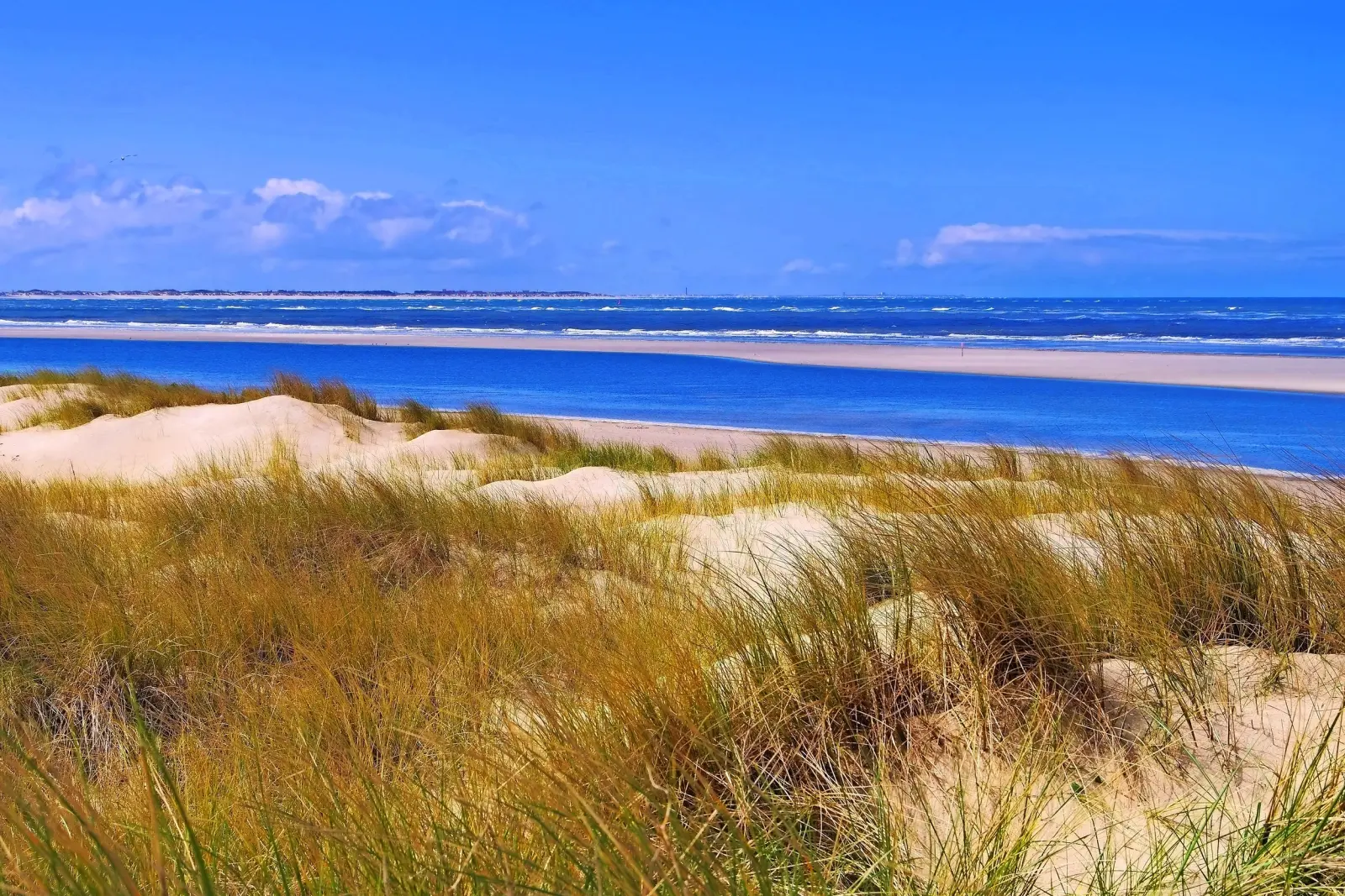 Sand dune on the Island of Langeoog