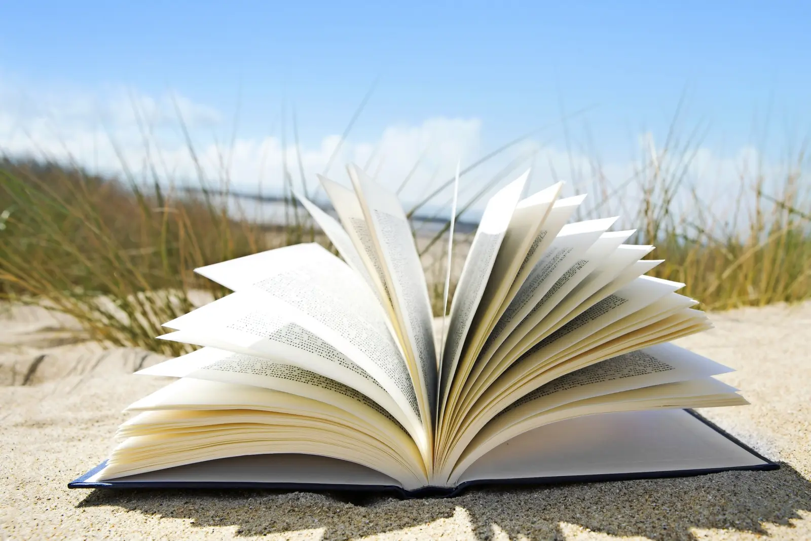 Book on the beach