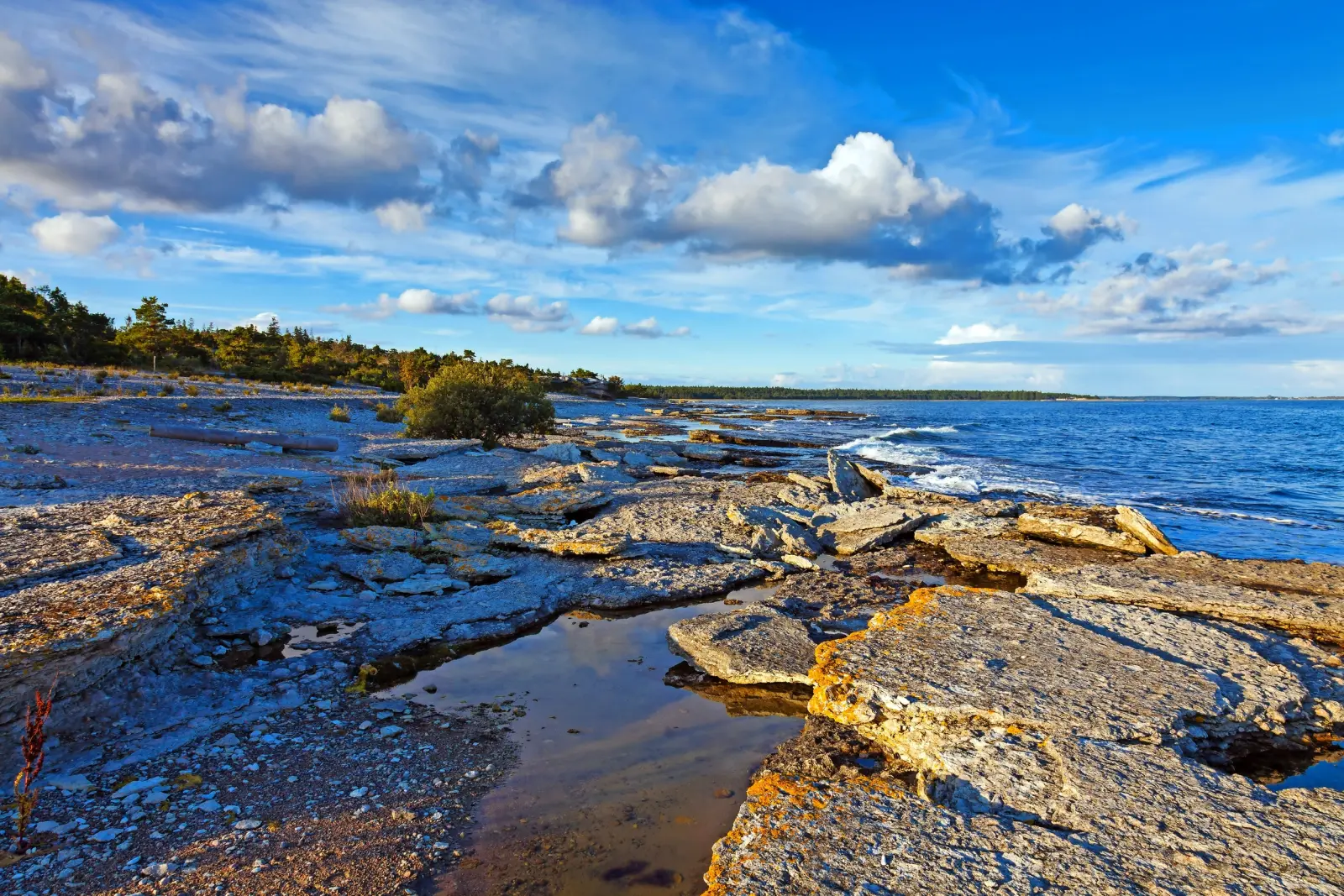 Côte rocheuse de Gotland