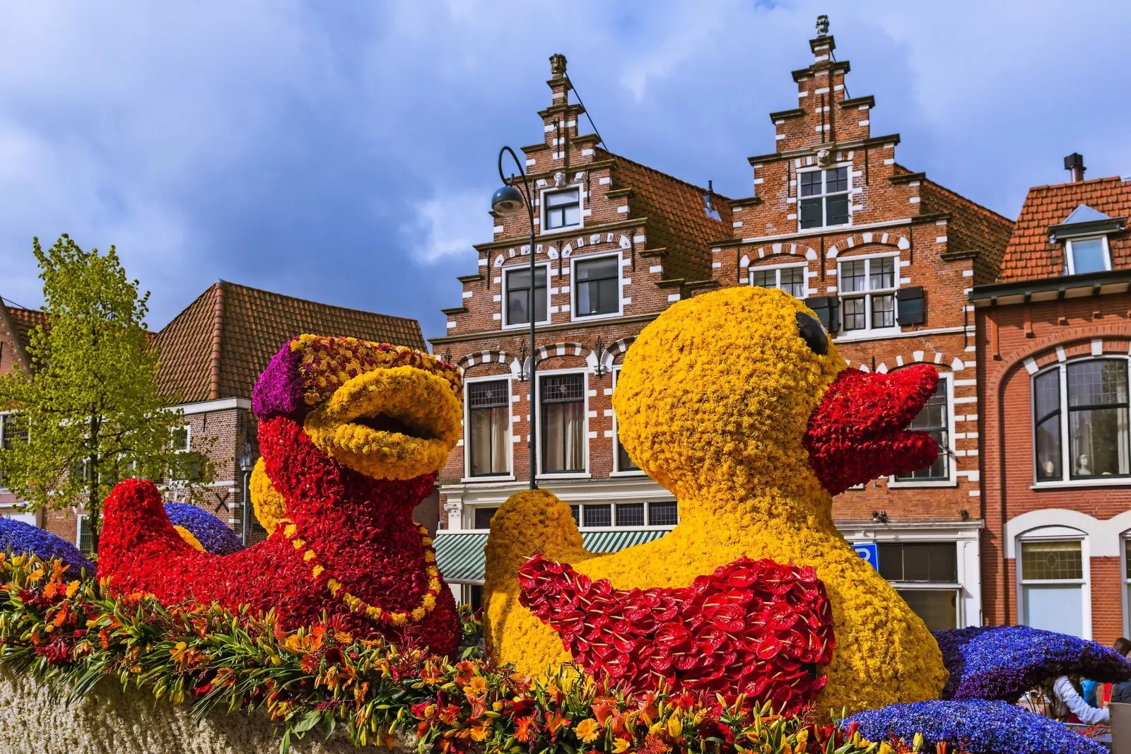 Duck sculptures made of flowers in front of historic façades.