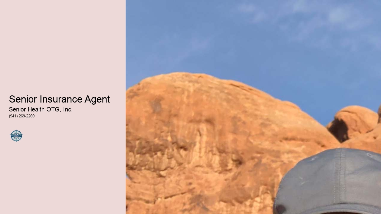 Senior Insurance Agent