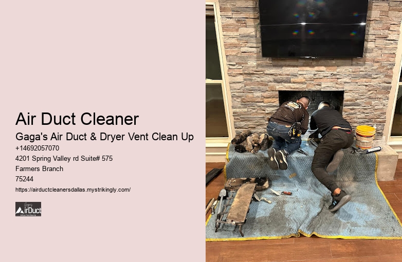 Air Duct Cleaner