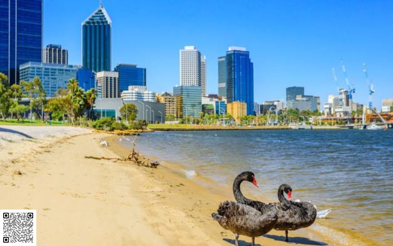 Common Misrepresentation Triggers and How to Avoid Them