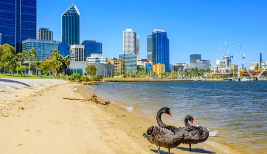 Perth’s Economy Thrives on Services, Innovation, and Resources Leadership