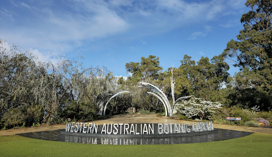 Perth’s Population Booms: A Mosaic of Cultures Shapes Australia’s Fourth-Largest City