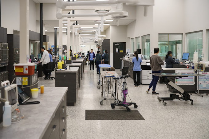 Animal ICU Services 24/7 Veterinary Emergency Surrey