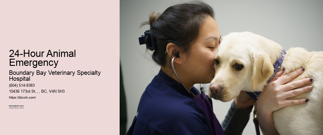 24-Hour Animal Emergency Surrey