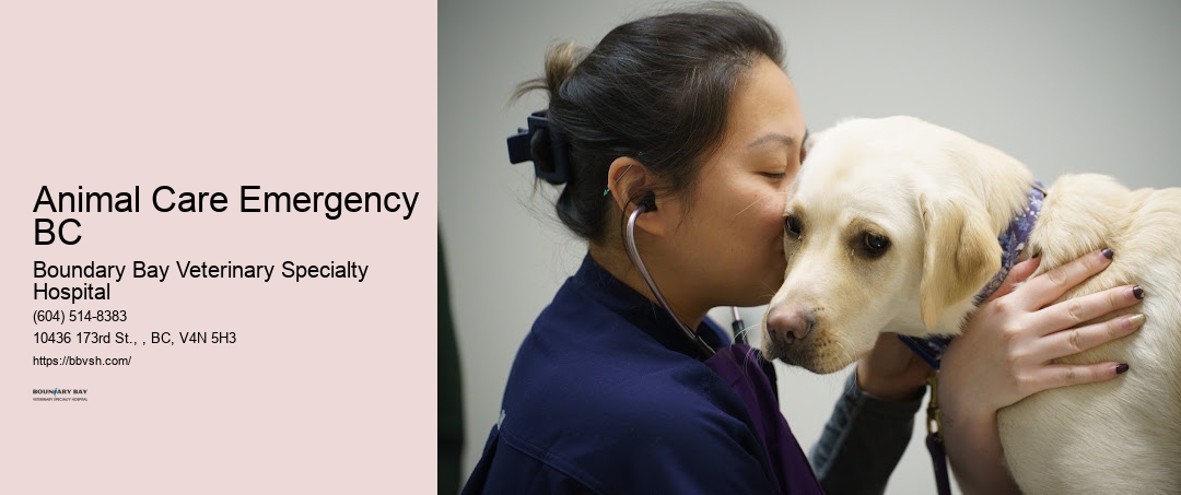 Animal Care Emergency Surrey BC