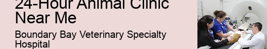 Pet Trauma Surgery 24-Hour Animal Clinic Near Me Surrey