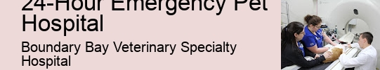 24-Hour Animal Services 24-Hour Emergency Pet Hospital Surrey