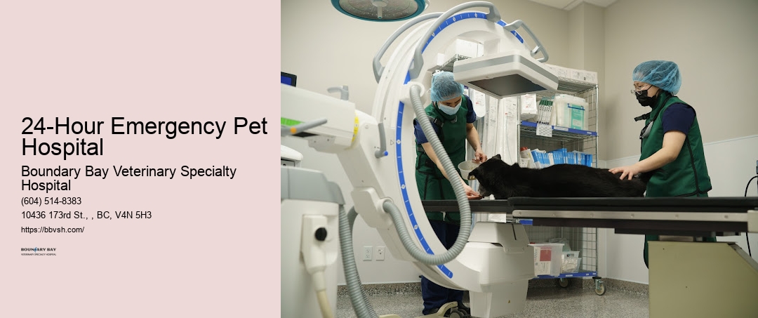 Pet Trauma Surgeon 24-Hour Emergency Pet Hospital Surrey