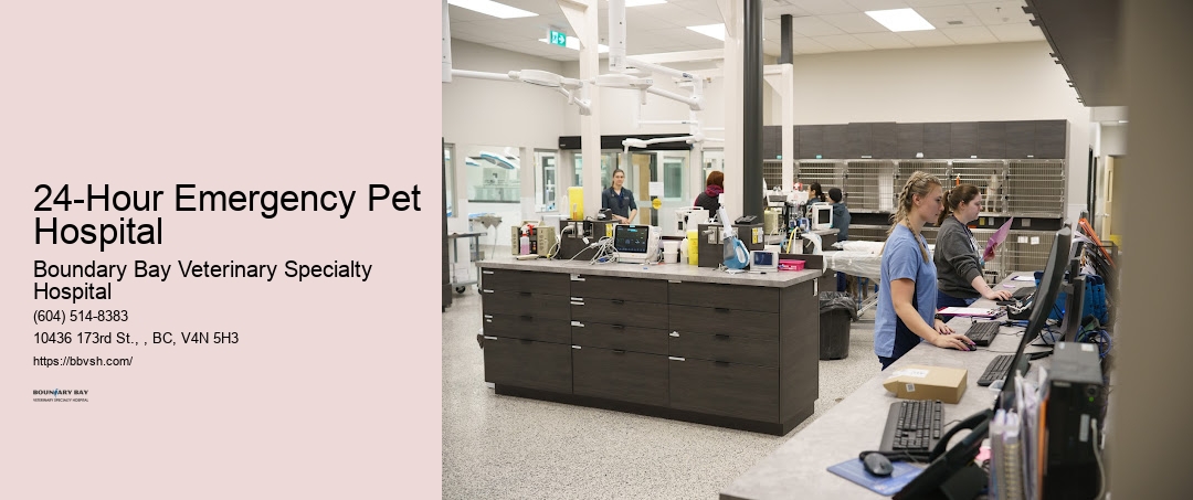 24-Hour Emergency Pet Hospital Surrey 24-Hour Pet Doctor