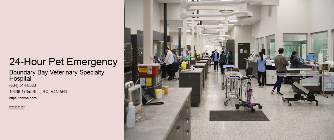 Emergency Dog Care Near Me 24-Hour Pet Emergency Surrey