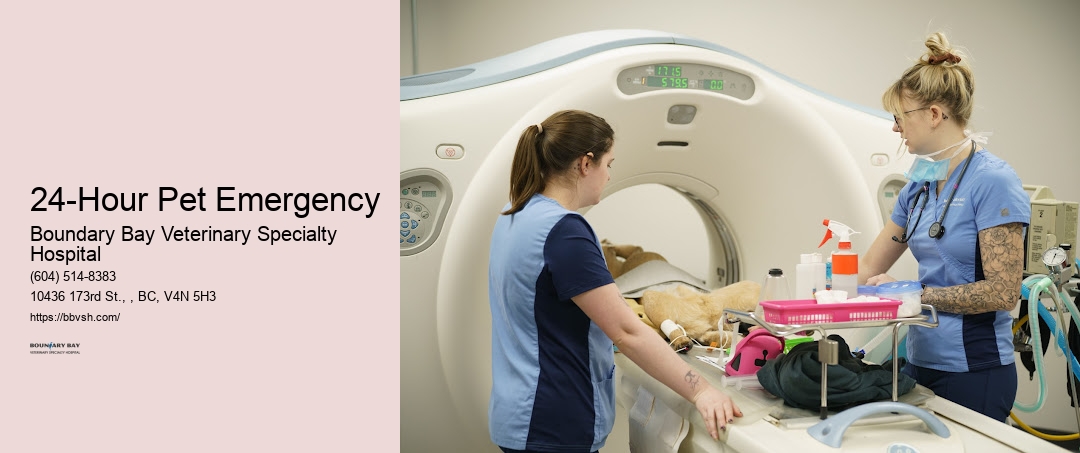 Critical Care Vet 24-Hour Pet Emergency Surrey