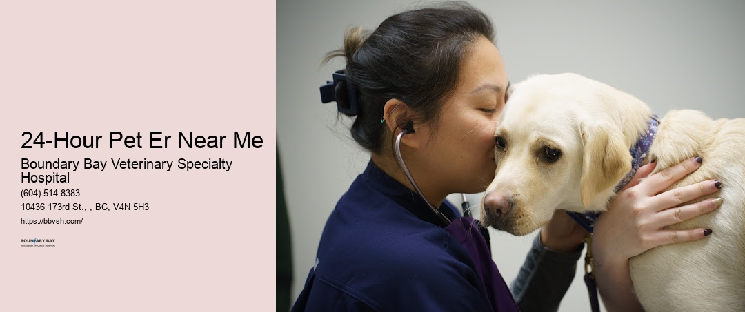 24-Hour Pet Er Near Me Surrey