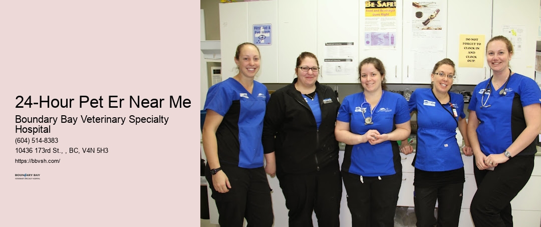 Emergency Vet For Cats 24-Hour Pet Er Near Me Surrey