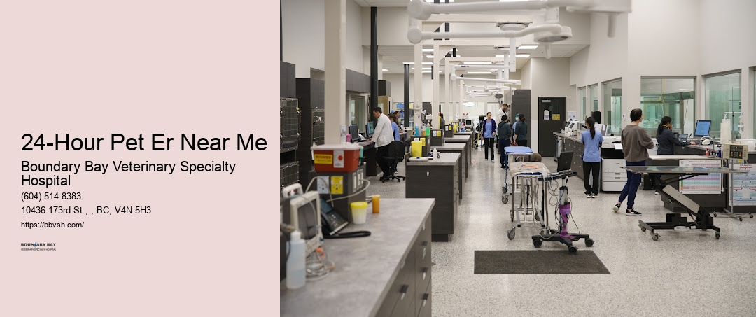 Urgent Pet Clinic Open 24-Hour Pet Er Near Me Surrey