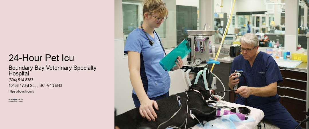 Pet Emergency Life-Saving Care 24-Hour Pet Icu Surrey