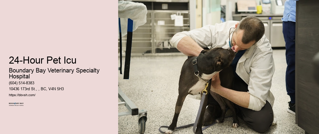 Animal Icu Open 24 Hours 24-Hour Pet Icu Surrey