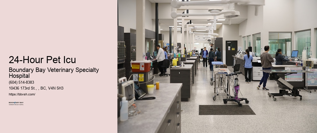 After-Hours Pet Care Vet 24-Hour Pet Icu Surrey
