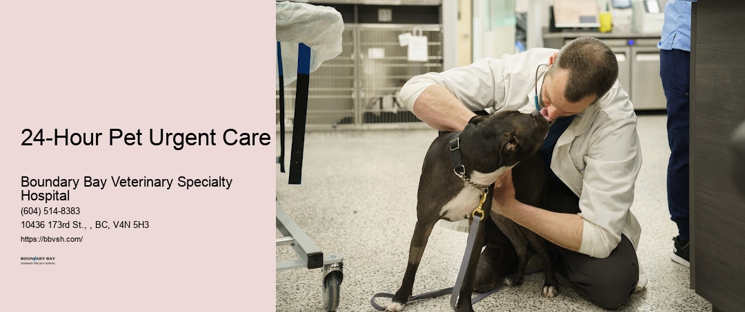 24-Hour Vet Clinic Open 24-Hour Pet Urgent Care Surrey