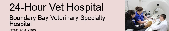 Emergency Dog Vet Open 24-Hour Vet Hospital Surrey