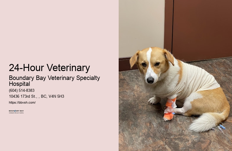 Urgent Care Vet For Pets 24-Hour Veterinary Surrey