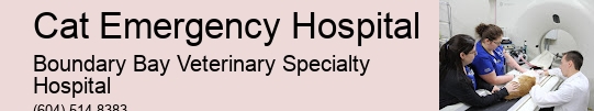 Vet Open Late Cat Emergency Hospital Surrey