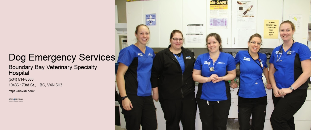 Animal Life-Saving Care Dog Emergency Services Surrey