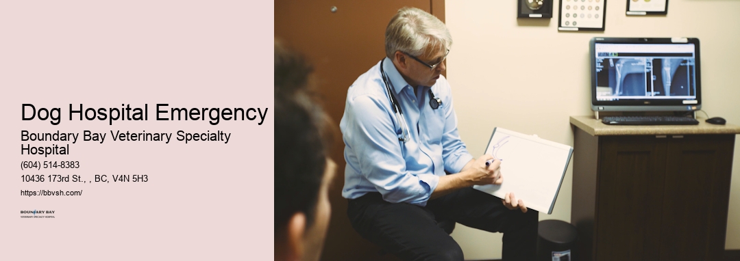 24/7 Emergency Vet For Cats Dog Hospital Emergency Surrey