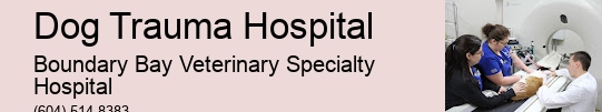 Dog Trauma Hospital Surrey Animal Emergency Room