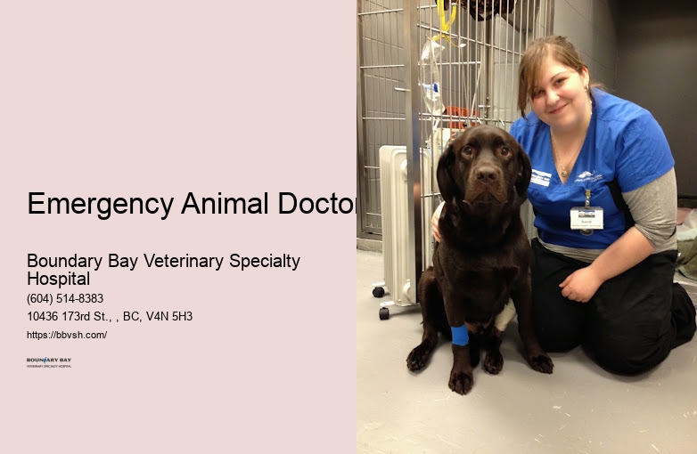 24-Hour Pet Emergency Room Emergency Animal Doctor Surrey