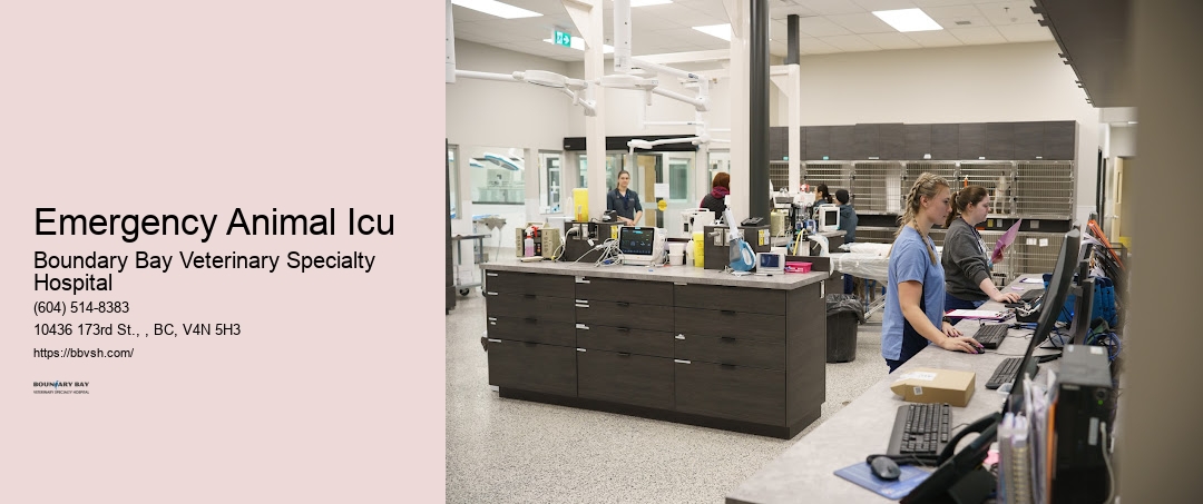 Pet Hospital Icu 24 Hours Emergency Animal Icu Surrey