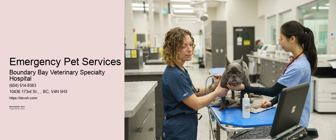 24/7 Pet Icu Emergency Pet Services Surrey