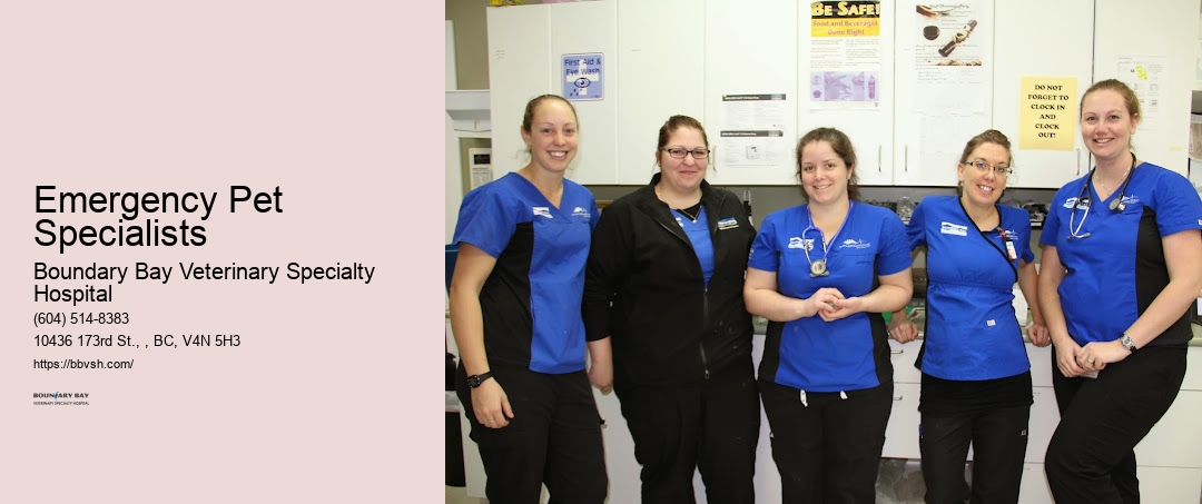 Emergency Animal Clinic Emergency Pet Specialists Surrey