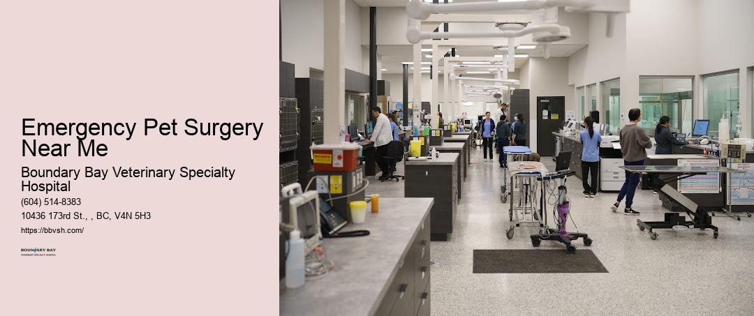 Urgent Animal Doctor Emergency Pet Surgery Near Me Surrey
