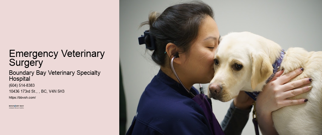 Emergency Veterinary Surgery Surrey