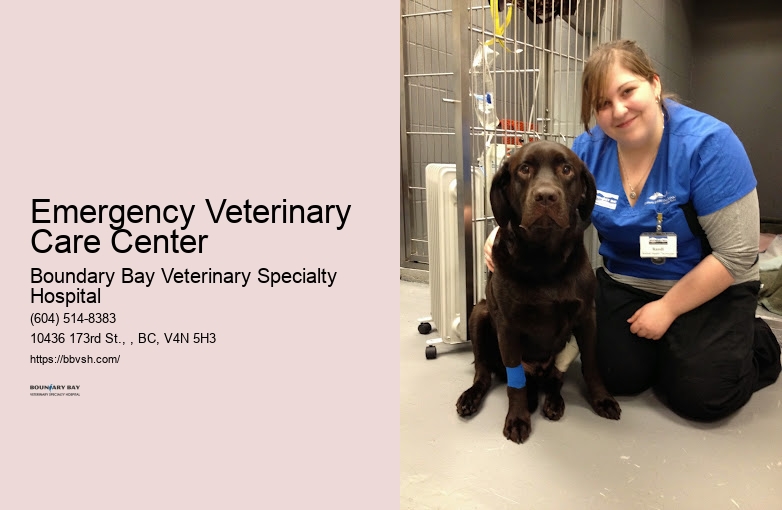 Urgent Pet Medical Care Emergency Veterinary Care Center Surrey