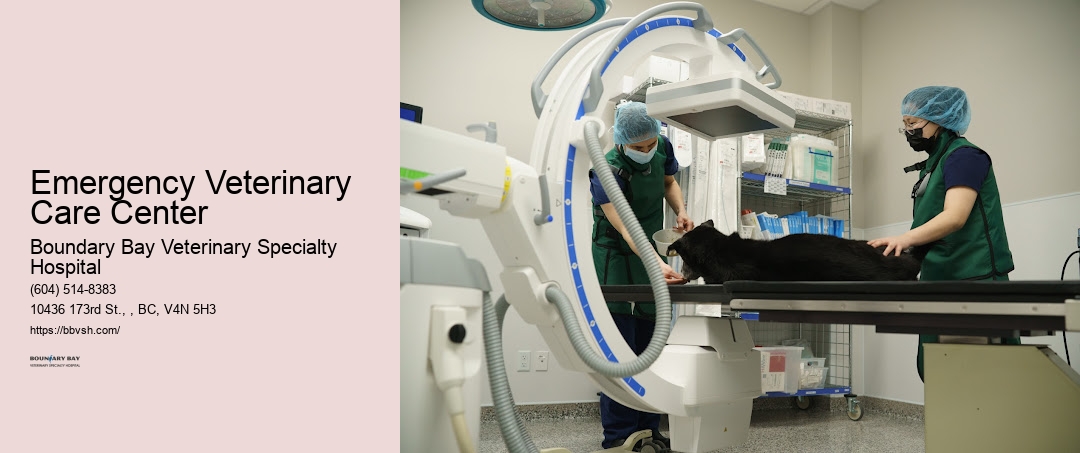Emergency Dog And Cat Hospital Emergency Veterinary Care Center Surrey
