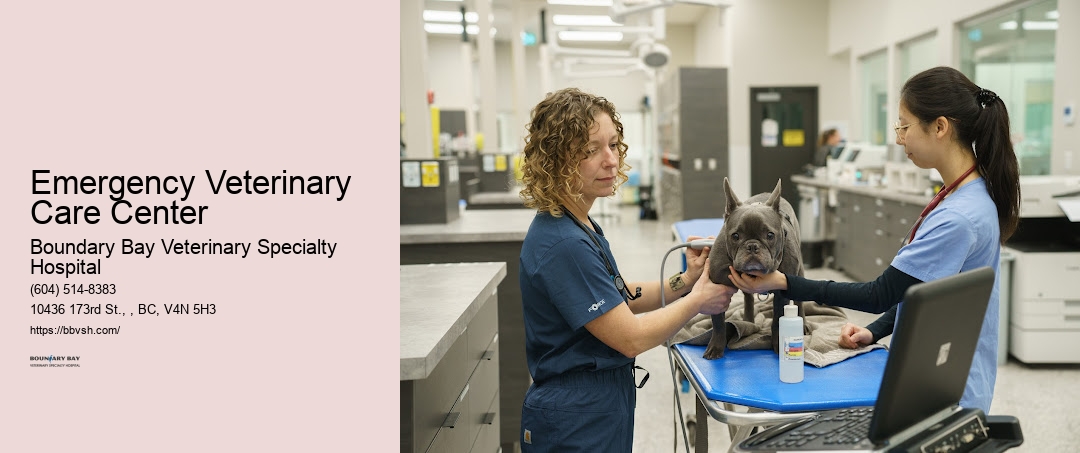 Pet Emergency Room Near Me Emergency Veterinary Care Center Surrey