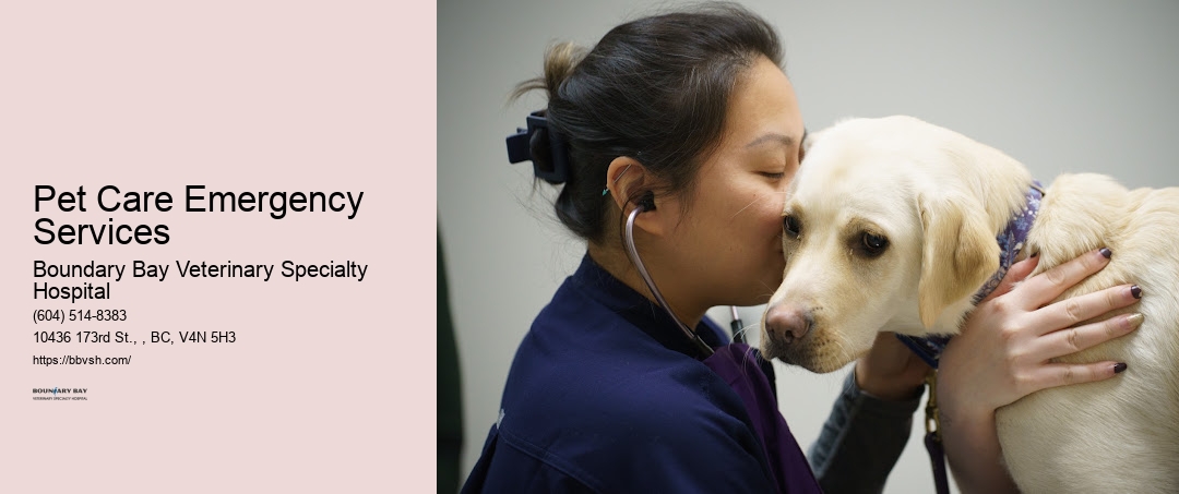 Pet Care Emergency Services Surrey