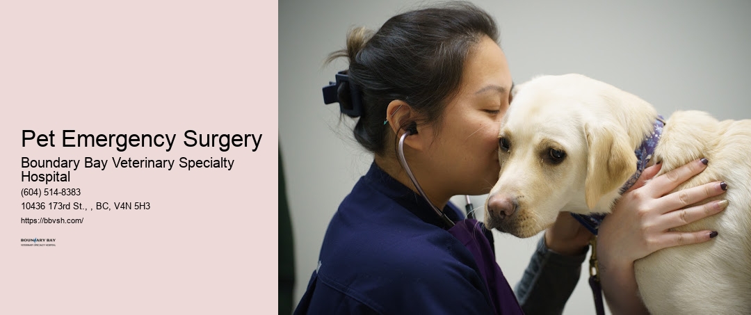 Pet Emergency Surgery Surrey