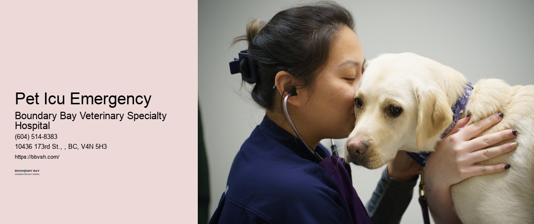 Pet Icu Emergency Surrey