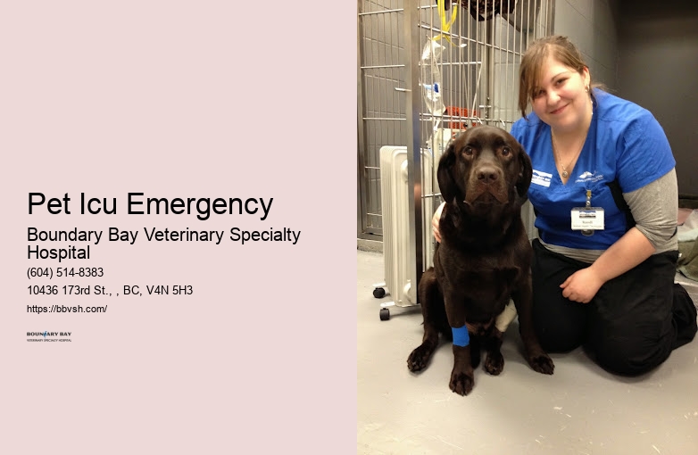 Animal Life-Saving Care Pet Icu Emergency Surrey