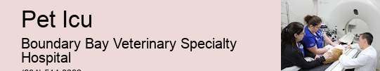 24/7 Emergency Vet Pet Icu Surrey