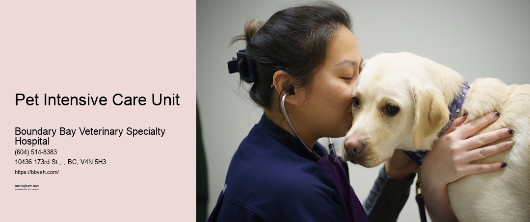 Pet Intensive Care Unit Surrey